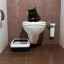 Uzavreté toalety pre mačky: výber pohodlia pre zviera a čistoty pre domácnosť