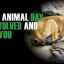 Medzinárodný deň zvierat