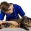 Gastroenteritída u mačiek: príčiny, diagnostika a liečba