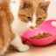 Krmivo pre mačky s urolitiázou