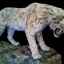 Podrobný opis tigra šabľozubého a dôvody vyhynutia smilodonu