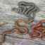 Viviparous hady: vlastnosti reprodukcie, tehotenstva a narodenia