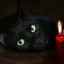 Čierna mačka: znamenia a povery