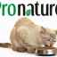 Pronatur holistický pre mačky: vynikajúce kvalitné krmivo z kanady
