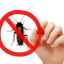 Predvídavosť: účinný prostriedok proti švábom