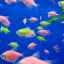 Pravidlá pre údržbu a starostlivosť o tŕne akvarijných rýb