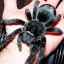 Domáci pavúk tarantuly: funkcie obsahu