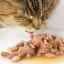 Recenzia na krmivo pre mačky felix