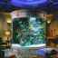 Veľké akvárium doma: ktoré je lepšie zvoliť, ako si ho vyrobiť a vybaviť